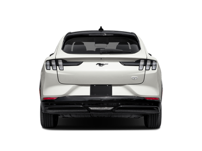 2022 Ford Mustang Mach-E California Route 1