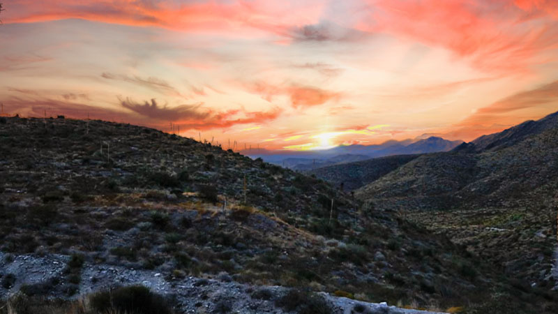 Discover Franklin Mountains State Park Adventures