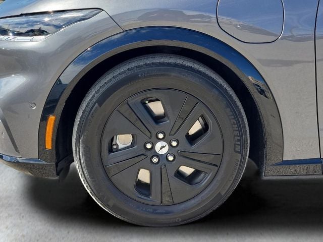 2023 Ford Mustang Mach-E California Route 1